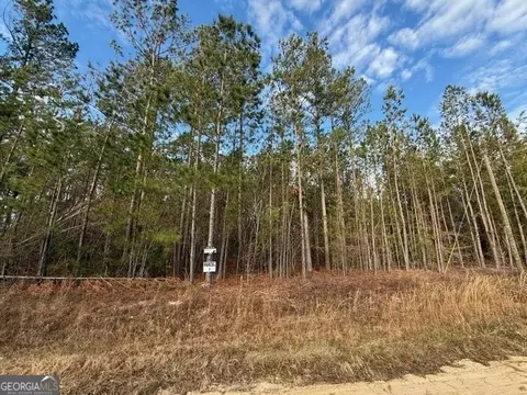 Parcel 1 Southside Drive, Lyons, GA 30436