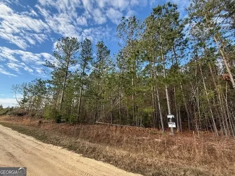 Parcel 1 Southside Drive, Lyons, GA 30436 photo 2