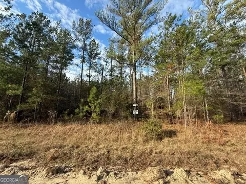 Parcel 2 Southside Drive, Lyons, GA 30436