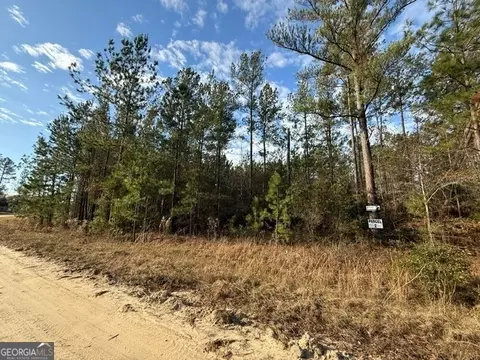 Parcel 2 Southside Drive, Lyons, GA 30436 photo 3