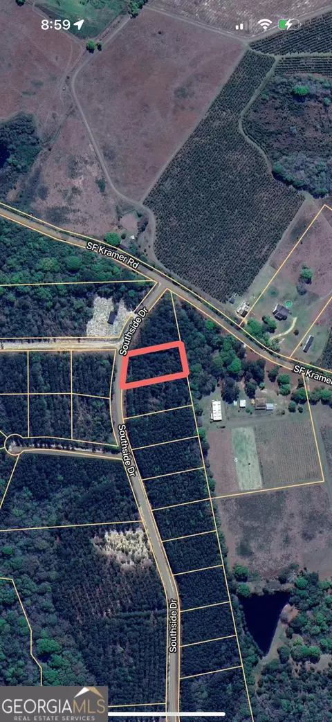 Parcel 2 Southside Drive, Lyons, GA 30436 photo 4