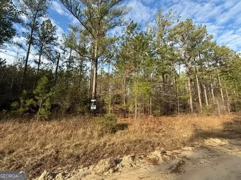 Parcel 2 Southside Drive, Lyons, GA 30436 photo 2