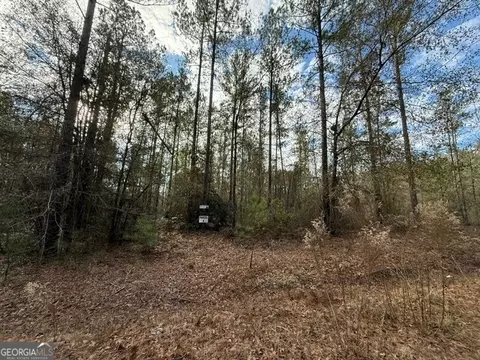 Parcel 4 Southside Drive, Lyons, GA 30436 photo 2