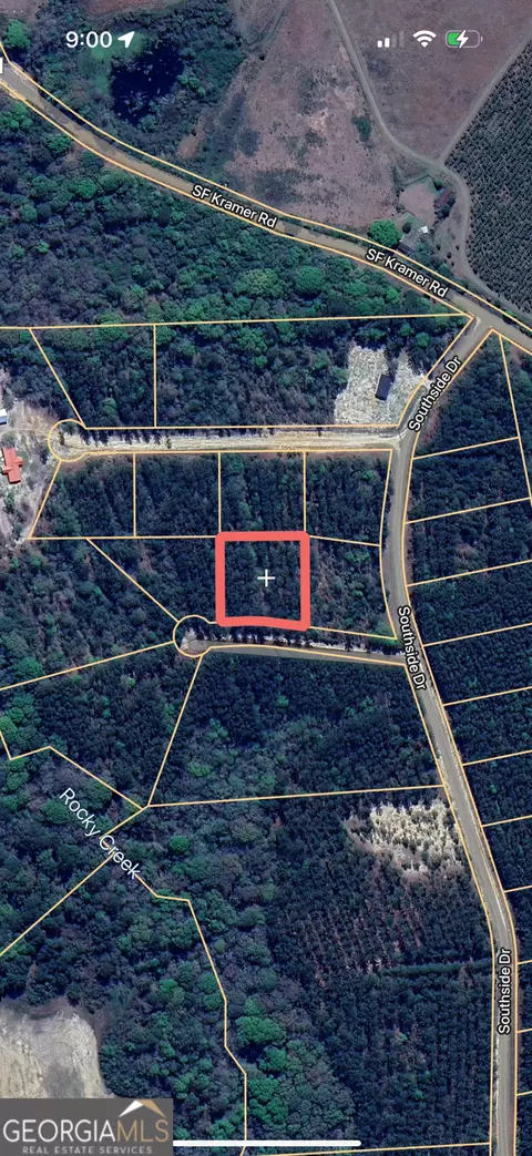 Parcel 4 Southside Drive, Lyons, GA 30436 photo 4