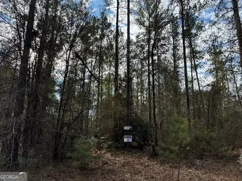 Parcel 4 Southside Drive, Lyons, GA 30436