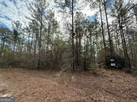 Parcel 4 Southside Drive, Lyons, GA 30436 photo 3