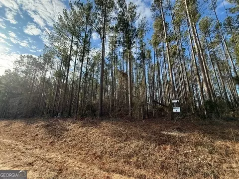 Parcel 8 Southside Drive, Lyons, GA 30436
