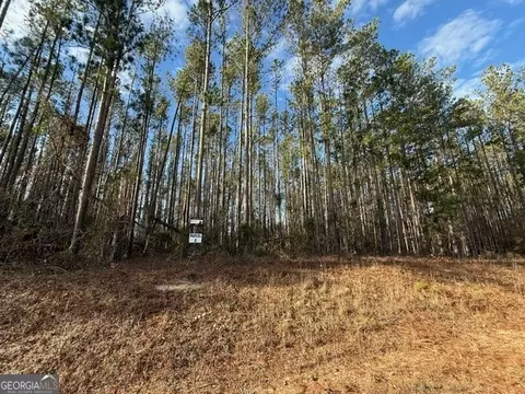 Parcel 8 Southside Drive, Lyons, GA 30436 photo 2