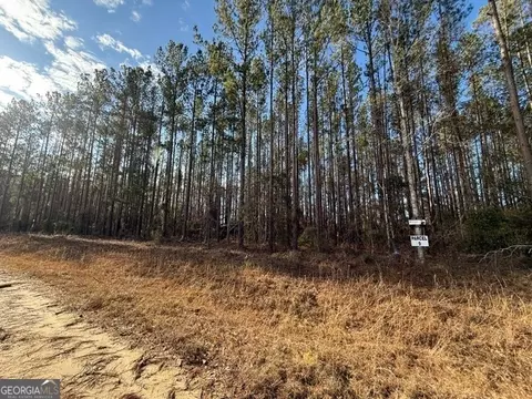 Parcel 9 Southside Drive, Lyons, GA 30436