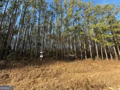 Parcel 9 Southside Drive, Lyons, GA 30436 photo 2