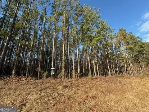 Parcel 10 Southside Drive, Lyons, GA 30436 photo 2