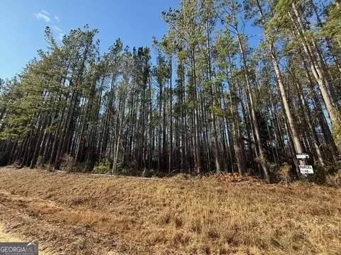 Parcel 10 Southside Drive, Lyons, GA 30436 photo 3