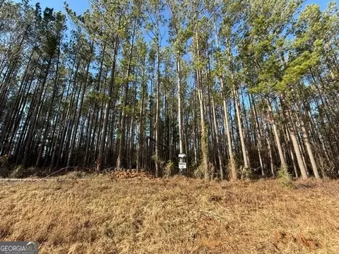 Parcel 10 Southside Drive, Lyons, GA 30436