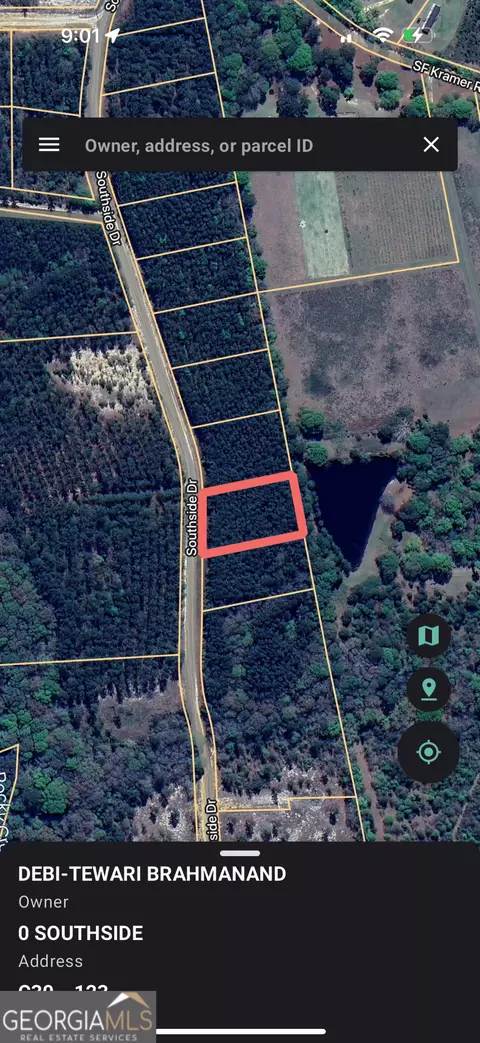 Parcel 10 Southside Drive, Lyons, GA 30436 photo 4