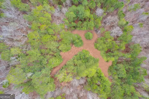 710 Old Roanoke Rd, Bowdon, GA 30108 photo 6
