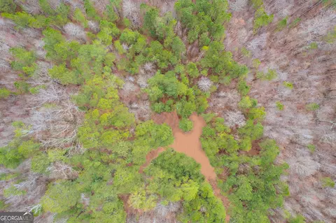 710 Old Roanoke Rd, Bowdon, GA 30108 photo 5
