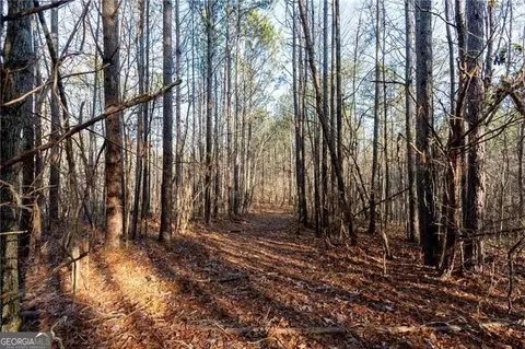0 Kirk Rd, White, GA 30184 photo 10