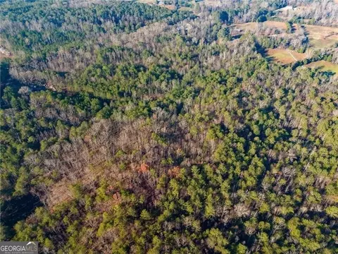 0 Kirk Rd, White, GA 30184 photo 6