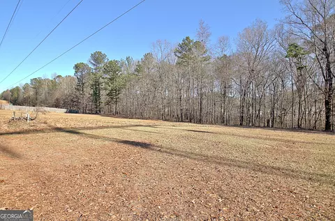 141 Dodgen Place Dr, Hampton, GA 30228 photo 71