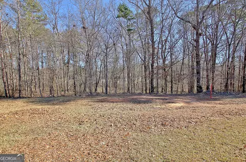 141 Dodgen Place Dr, Hampton, GA 30228 photo 72