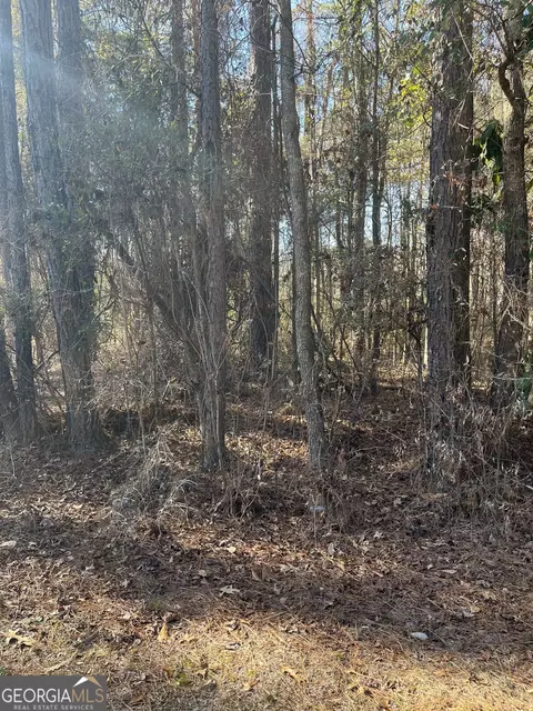 0 Drayton Loop, Vienna, GA 31092