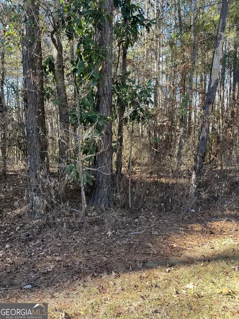 0 Drayton Loop, Vienna, GA 31092 photo 2