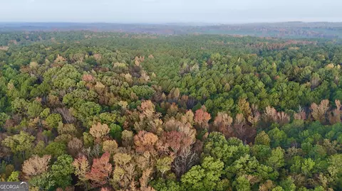 0 Dennis Creek Rd, Talbotton, GA 31827