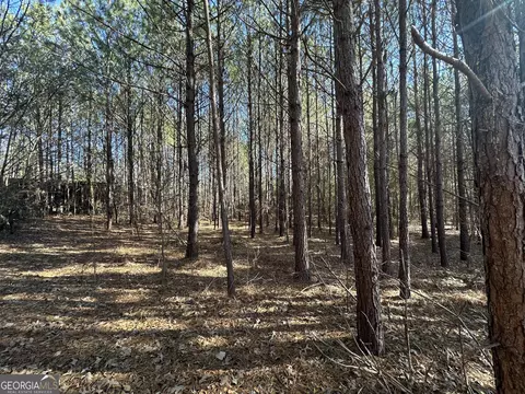 2028 Threadgill Rd #3.55 ACRES, Greenville, GA 30222