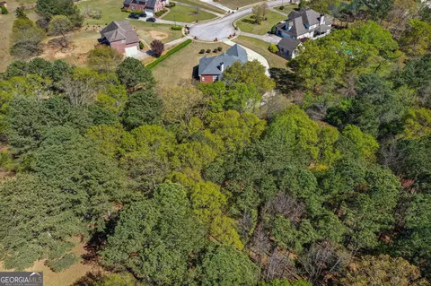 209 Candice Ct, Hampton, GA 30228 photo 69