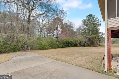 209 Candice Ct, Hampton, GA 30228 photo 44