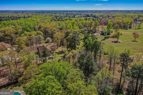 209 Candice Ct, Hampton, GA 30228 photo 61