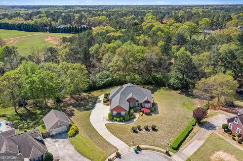 209 Candice Ct, Hampton, GA 30228 photo 57
