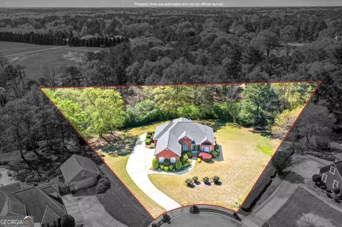 209 Candice Ct, Hampton, GA 30228 photo 58