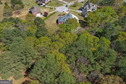 209 Candice Ct, Hampton, GA 30228 photo 68