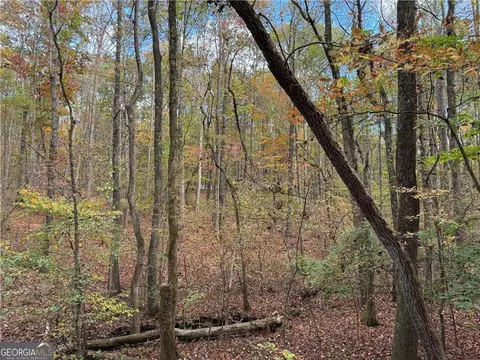 330 Pat Rich Dr, Canton, GA 30115