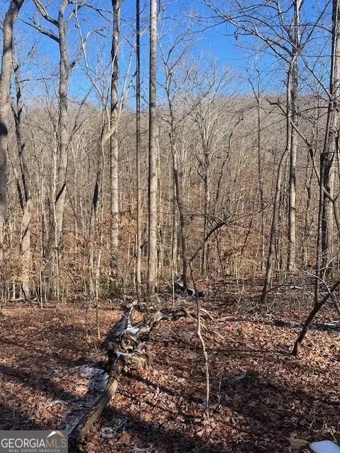 lot2171 N Sundew, Westminster, SC 29693