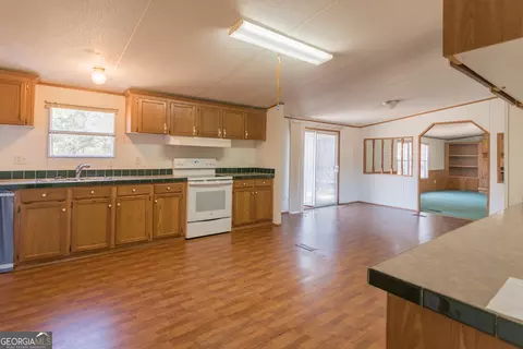 7337 Stockinghead Rd, Metter, GA 30439 photo 3