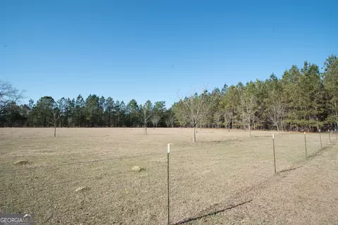 7337 Stockinghead Rd, Metter, GA 30439 photo 22