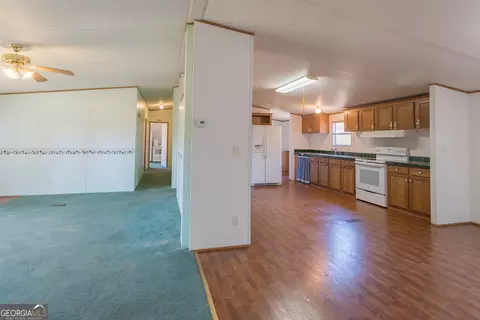 7337 Stockinghead Rd, Metter, GA 30439 photo 13