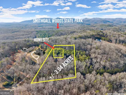 0 Sassafrass Ridge Dr, Sautee Nacoochee, GA 30571