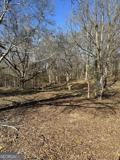 250 Roper Rd, Canon, GA 30520