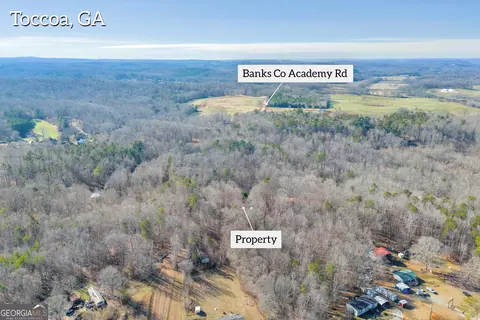 195 Pittman Dr, Toccoa, GA 30577 photo 20