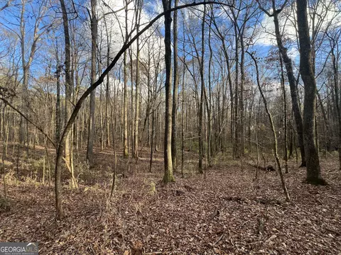 272 Stone Rd, Mcdonough, GA 30253 photo 6