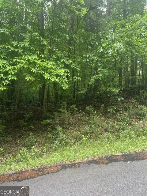 9 Hillshore Ct, Lavonia, GA 30553