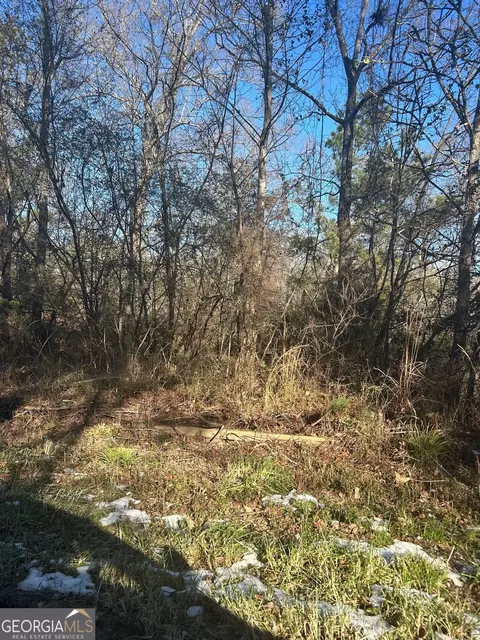 110 Dover Rd, Oxford, GA 30054