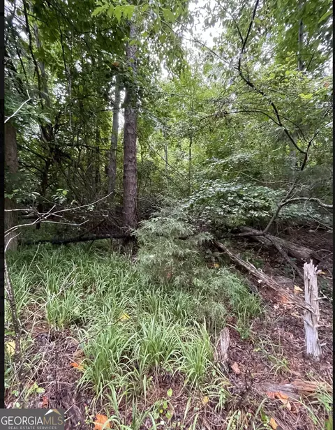 lot51 Alpine Way, Lavonia, GA 30553
