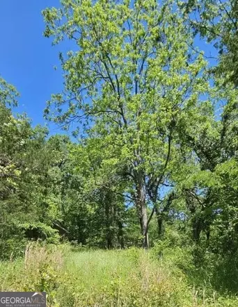 0 Maple Cir, Greensboro, GA 30642