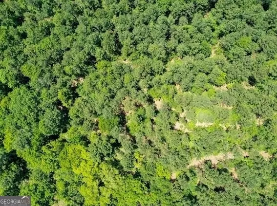  640 Sparta Hwy, Milledgeville, GA 31061 photo 9