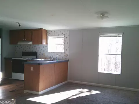 Living - 1612 N Hicks Rd, Toccoa, GA 30577 photo 5 of 6
