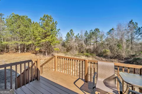 7856 R V Kitchens Rd, Mitchell, GA 30820 photo 31